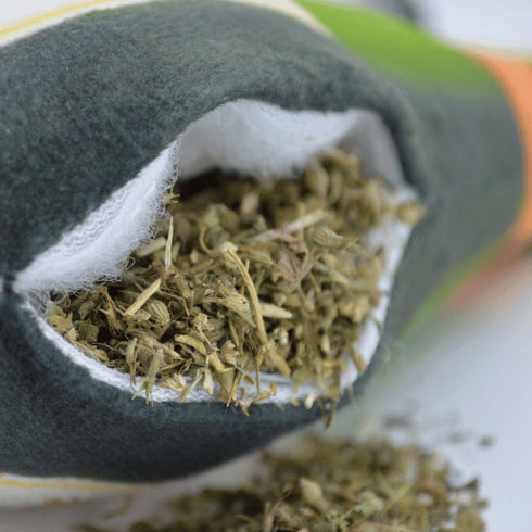 Meowijuana Get Toasted Refillable Champagne Bottle Cat Toy - Poudre Pet & Feed Supply 5